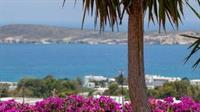 Aloe Paros Suites And Studios Drios Exterior foto