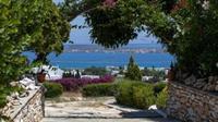 Aloe Paros Suites And Studios Drios Exterior foto